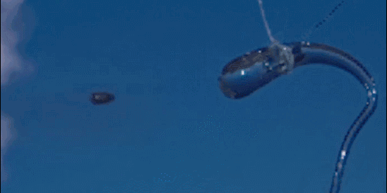 2_190615090103_1.gif